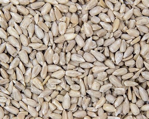 Sunflower Hearts