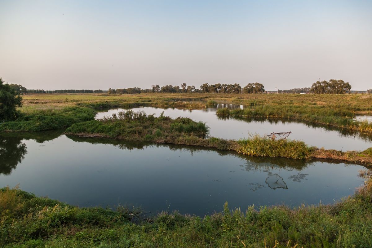 Marsh wetland fishing